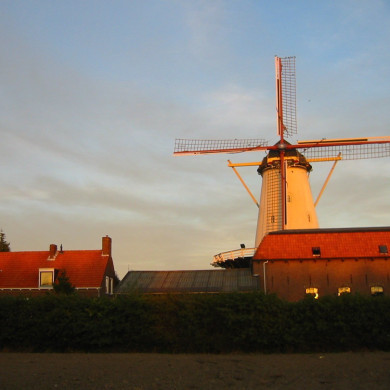 Rijksdienst voor het Cultureel Erfgoed: Terpstra, Frank