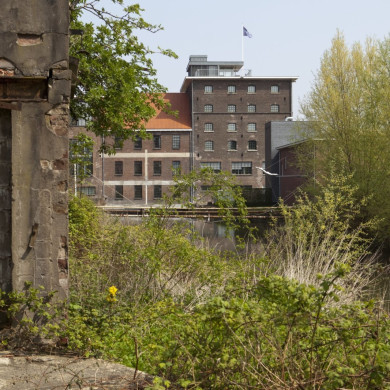 Rijksdienst voor het Cultureel Erfgoed: Roderburg, K. (Kris)