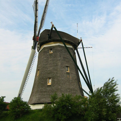 Rijksdienst voor het Cultureel Erfgoed: Terpstra, Frank