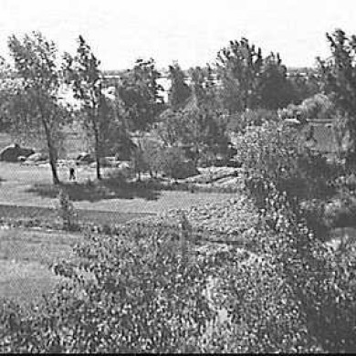 Rijksdienst voor het Cultureel Erfgoed: Beelen, J.A. van