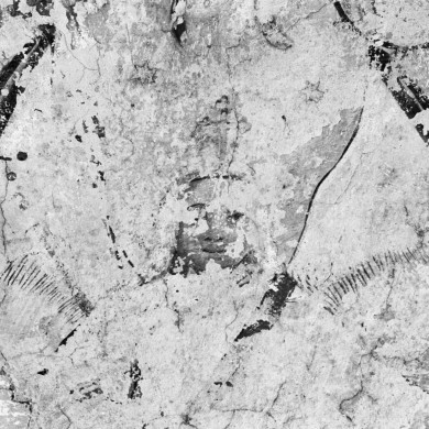 Rijksdienst voor het Cultureel Erfgoed: Tangel, L.M.