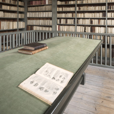 Rijksdienst voor het Cultureel Erfgoed: Tilleman, Ronald