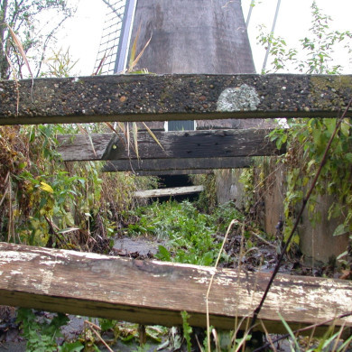 Rijksdienst voor het Cultureel Erfgoed: Terpstra, Frank