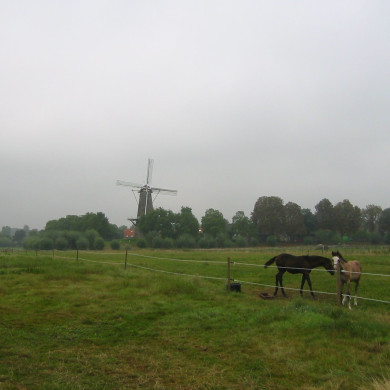 Rijksdienst voor het Cultureel Erfgoed: Terpstra, Frank