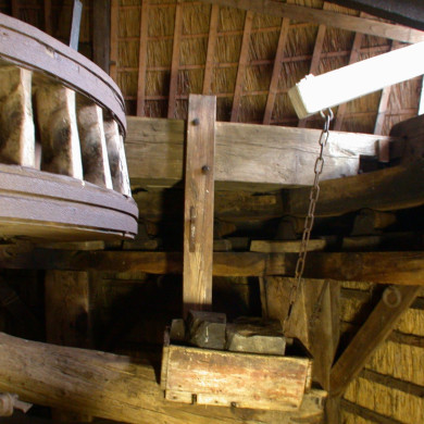 Rijksdienst voor het Cultureel Erfgoed: Terpstra, Frank