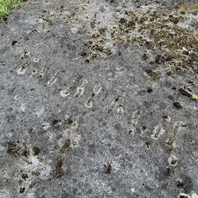 Rijksdienst voor het Cultureel Erfgoed: Bogers, Guido