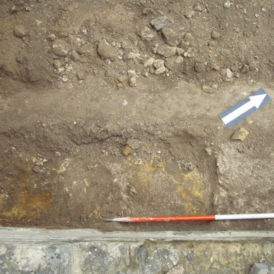 Rijksdienst voor het Cultureel Erfgoed