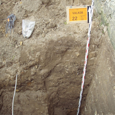 Rijksdienst voor het Cultureel Erfgoed