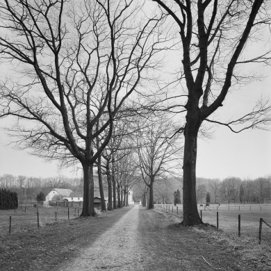 Rijksdienst voor het Cultureel Erfgoed: Galen, P. van