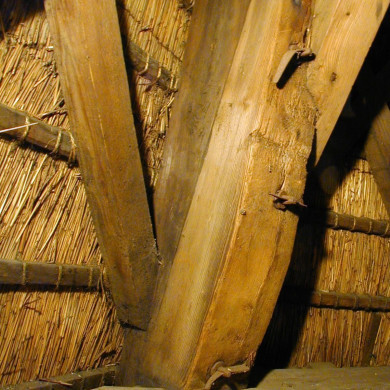 Rijksdienst voor het Cultureel Erfgoed: Terpstra, Frank