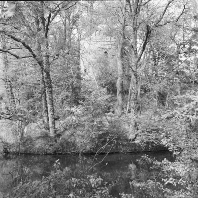 Rijksdienst voor het Cultureel Erfgoed: Delemarre, G.Th.