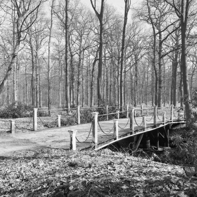 Rijksdienst voor het Cultureel Erfgoed: Schollen, A.H.C.