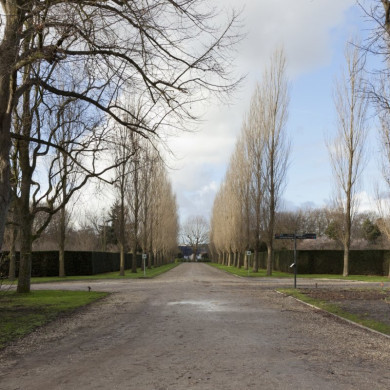 Rijksdienst voor het Cultureel Erfgoed: Booms, C.S. (Chris)