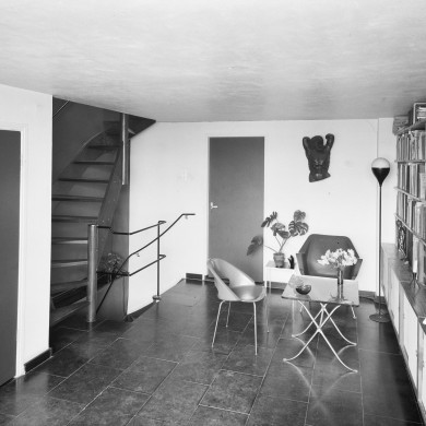 Rijksdienst voor het Cultureel Erfgoed: Delemarre, G.Th.