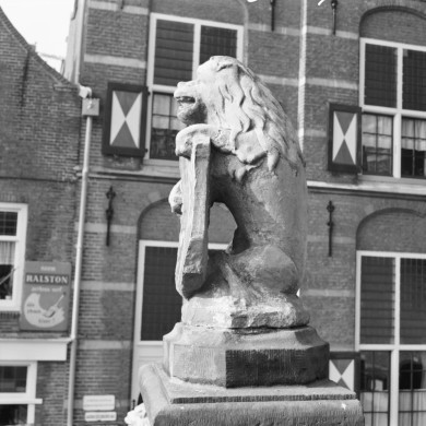 Rijksdienst voor het Cultureel Erfgoed: Delemarre, G.Th.