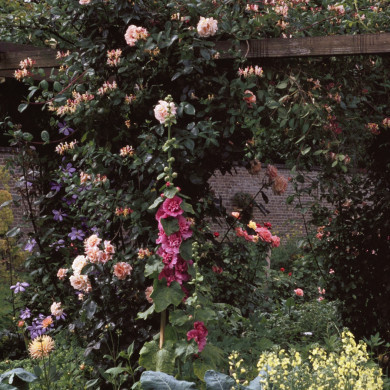 Rijksdienst voor het Cultureel Erfgoed: Heuff M. (Marijke)