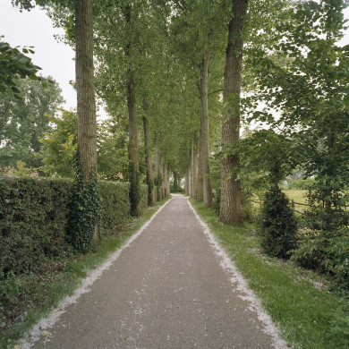 Rijksdienst voor het Cultureel Erfgoed: Wal, A.J. van der