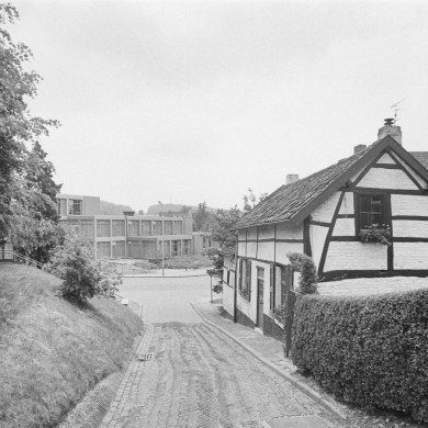 Rijksdienst voor het Cultureel Erfgoed: Tangel, L.M.