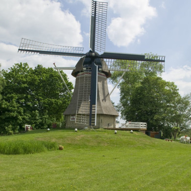 Rijksdienst voor het Cultureel Erfgoed: Roderburg, K. (Kris)