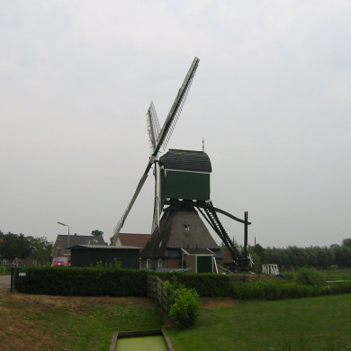 Rijksdienst voor het Cultureel Erfgoed: Terpstra, Frank