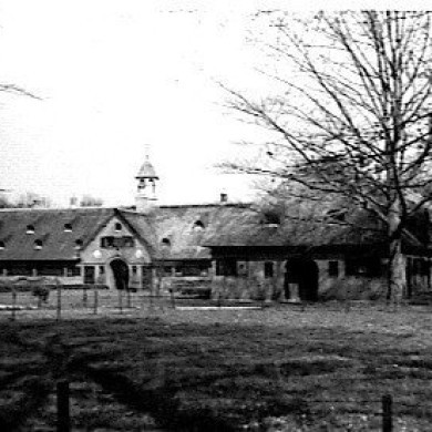 Rijksdienst voor het Cultureel Erfgoed: Bouma, S.J.