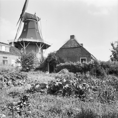 Rijksdienst voor het Cultureel Erfgoed: Wal, A.J. van der