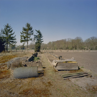 Rijksdienst voor het Cultureel Erfgoed: Heins, IJ.Th.
