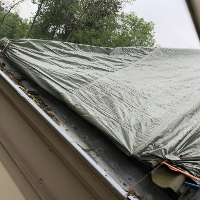 Rijksdienst voor het Cultureel Erfgoed: Bogers, Guido