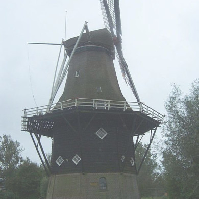 Rijksdienst voor het Cultureel Erfgoed: Terpstra, Frank