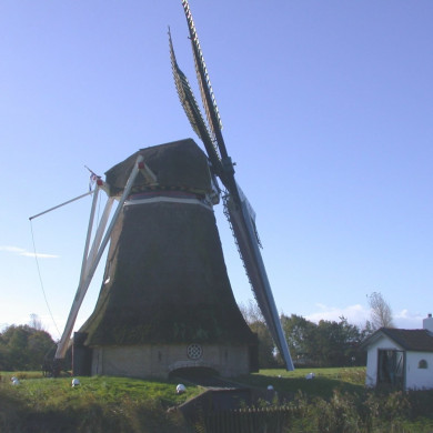 Rijksdienst voor het Cultureel Erfgoed: Terpstra, Frank