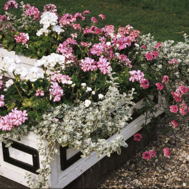 Rijksdienst voor het Cultureel Erfgoed: Heuff M. (Marijke)