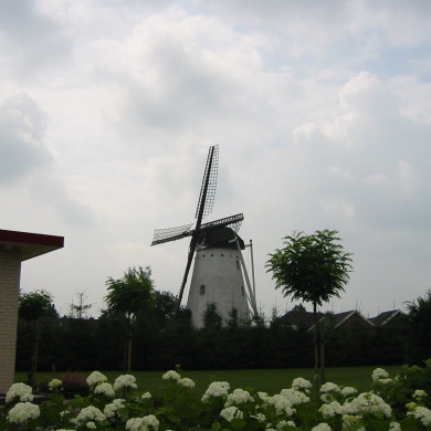 Rijksdienst voor het Cultureel Erfgoed: Terpstra, Frank