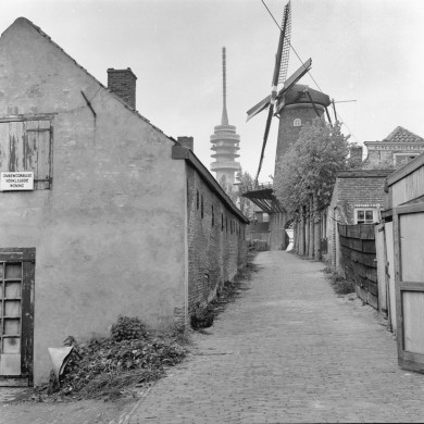 Rijksdienst voor het Cultureel Erfgoed: Delemarre, G.Th.