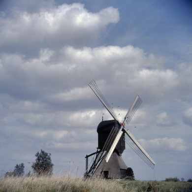 Rijksdienst voor het Cultureel Erfgoed