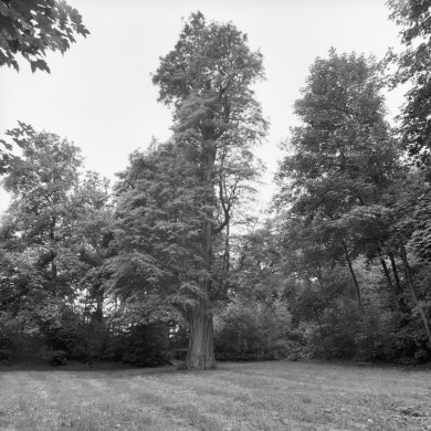 Rijksdienst voor het Cultureel Erfgoed: Wal, A.J. van der