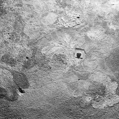 Rijksdienst voor het Cultureel Erfgoed: Wal, A.J. van der