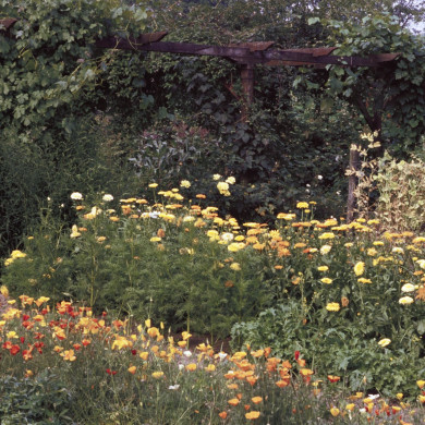 Rijksdienst voor het Cultureel Erfgoed: Heuff M. (Marijke)