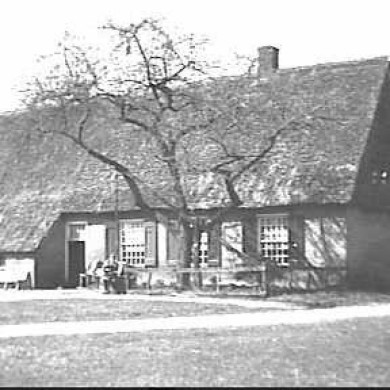 Rijksdienst voor het Cultureel Erfgoed: Beelen, J.A. van