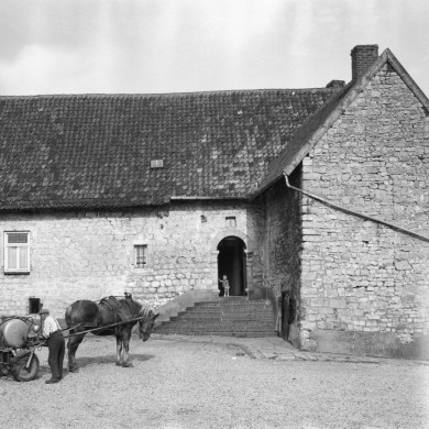 Rijksdienst voor het Cultureel Erfgoed: Delemarre, G.Th.