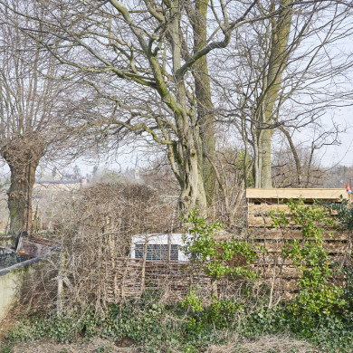 Rijksdienst voor het Cultureel Erfgoed: Technau, Sergé