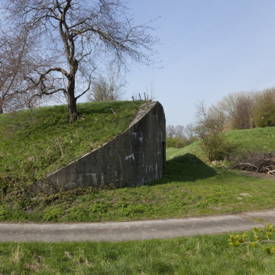 Rijksdienst voor het Cultureel Erfgoed: Booms, C.S. (Chris)-Galen, P. (Paul) van