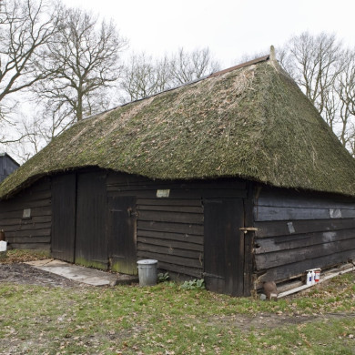 Rijksdienst voor het Cultureel Erfgoed: Booms, C.S. (Chris)