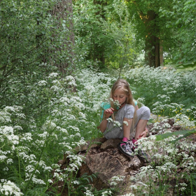 Rijksdienst voor het Cultureel Erfgoed: Bijlsma, Simon