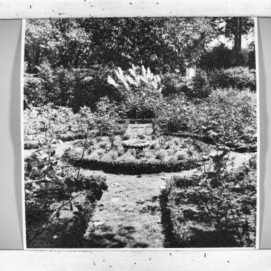 Rijksdienst voor het Cultureel Erfgoed: Heins, IJ.Th.