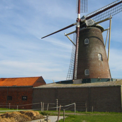 Rijksdienst voor het Cultureel Erfgoed: Terpstra, Frank