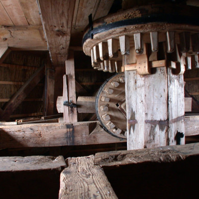 Rijksdienst voor het Cultureel Erfgoed: Terpstra, Frank