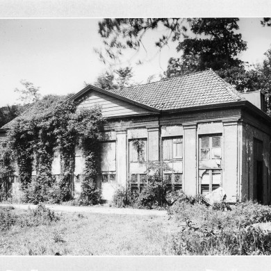 Rijksdienst voor het Cultureel Erfgoed: Koning, de