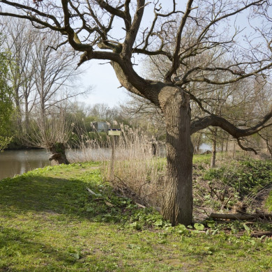 Rijksdienst voor het Cultureel Erfgoed: Booms, C.S. (Chris)-Galen, P. (Paul) van