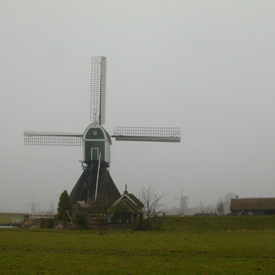 Rijksdienst voor het Cultureel Erfgoed: Terpstra, Frank