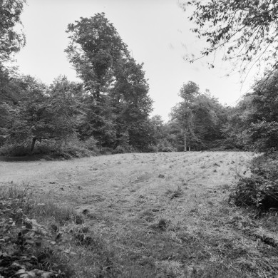 Rijksdienst voor het Cultureel Erfgoed: Wal, A.J. van der